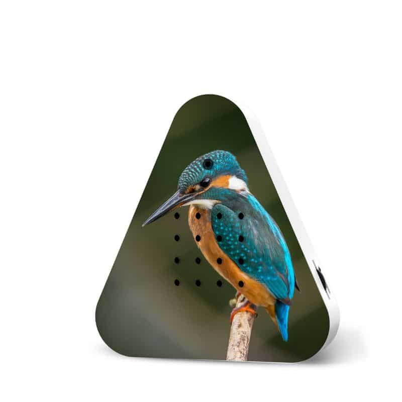 Lakesidebox IJsvogel huisje met ontspannende ijsvogelgeluiden, ideaal voor een rustgevende sfeer in huis.