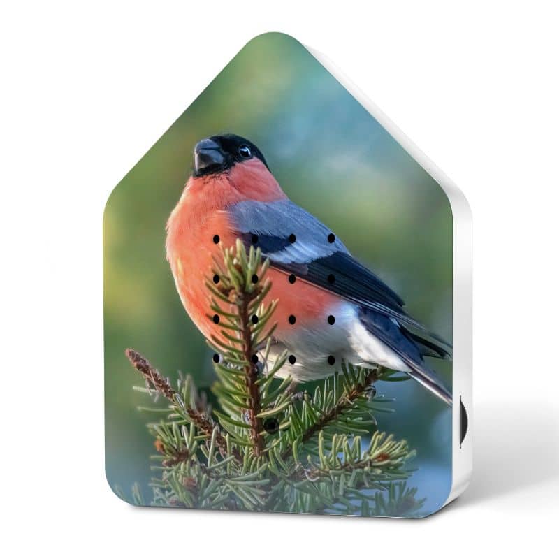 Zwitscherbox Goudvink huisje met ontspannende vogelgeluiden geel, ideaal voor een rustgevende sfeer in huis.